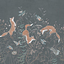 FOXY 8
